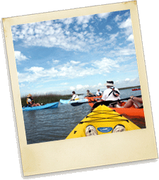 GALVESTON ISLAND PASS | Island Pass Participating Attractions